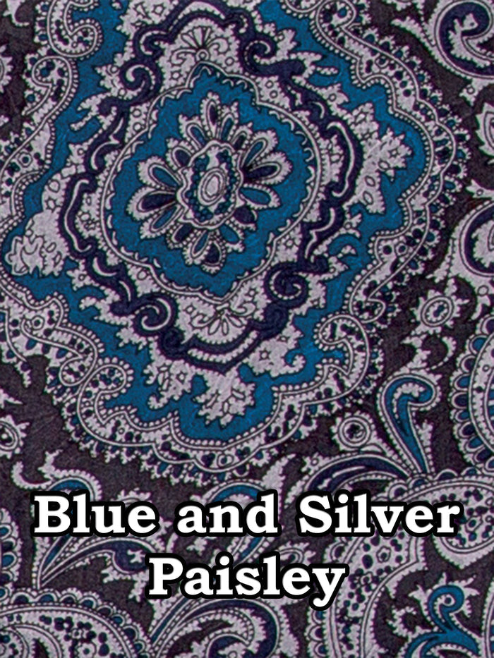 Blue and Silver Paisley
