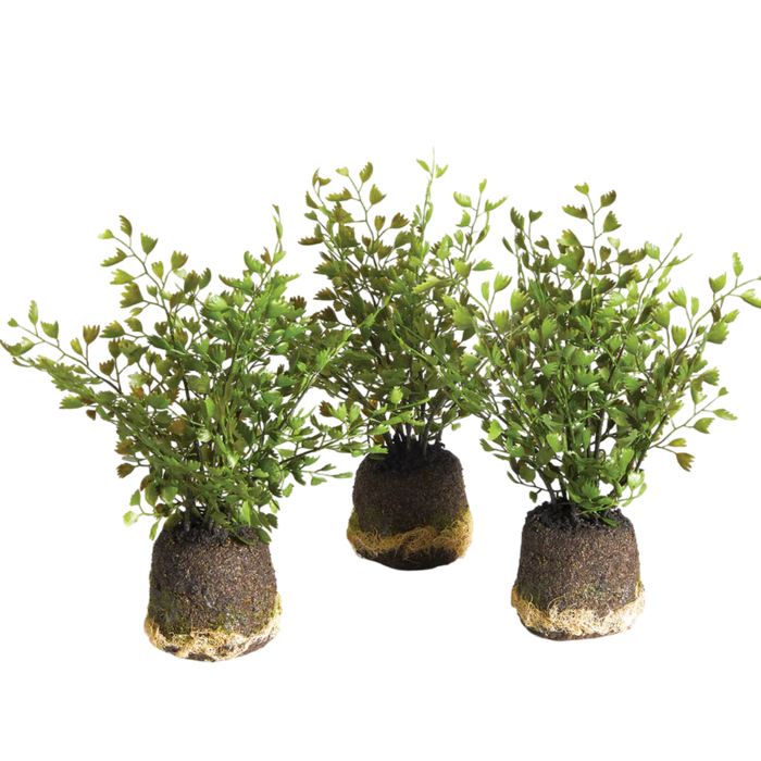 napa home and garden maiden hair drop in faux plant maidenhair