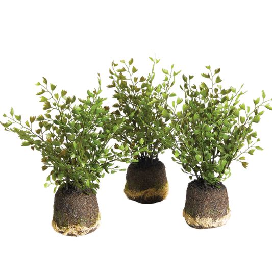 napa home and garden maiden hair drop in faux plant maidenhair