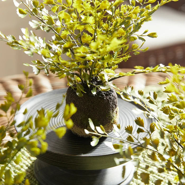 napa home and garden maiden hair drop in faux plant maidenhair