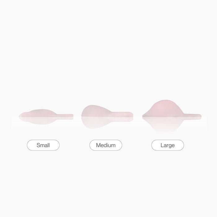 Medium Lash Shields
