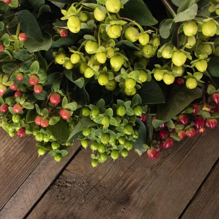 Assorted color hypericum berry bulk flowers