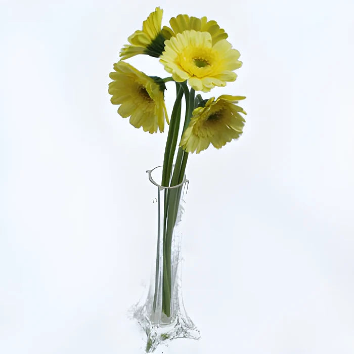 Ophir Yellow Mini Gerber Daisies