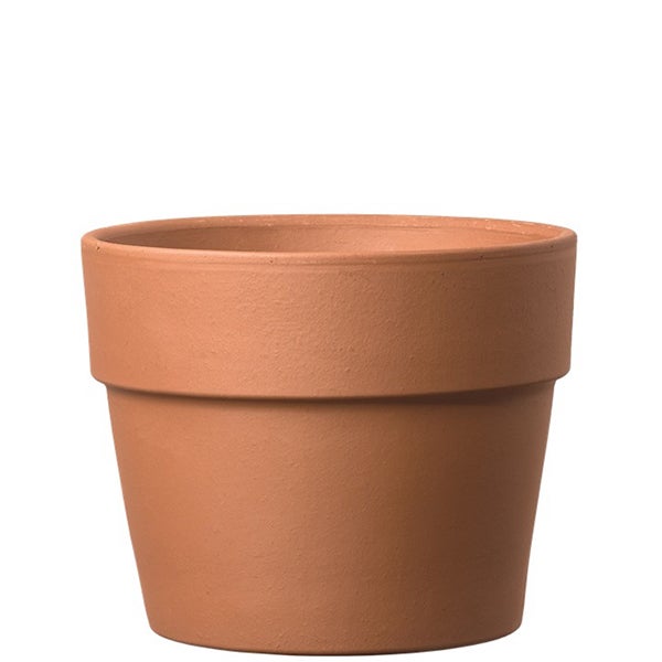 Perfetto Cachepot 7.9"