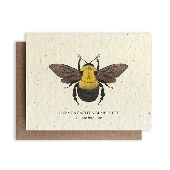 Plantable Wildflower Seed Cards