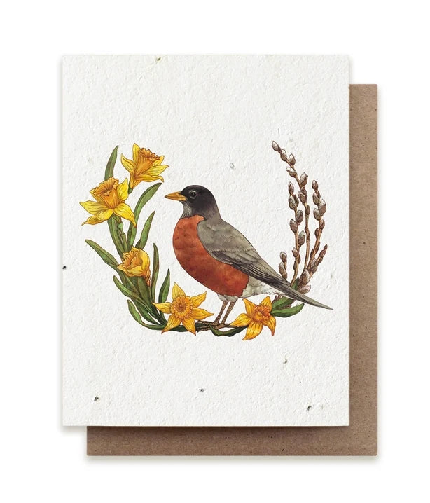 Spring Robin