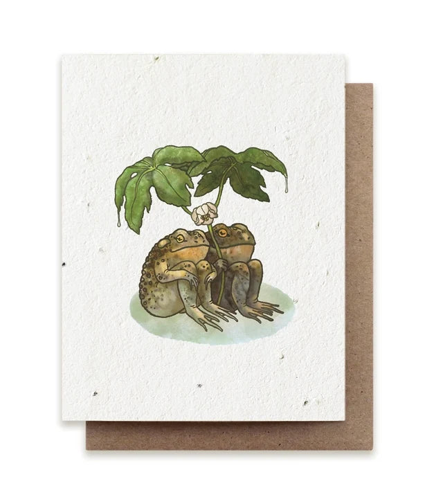 Two Toads