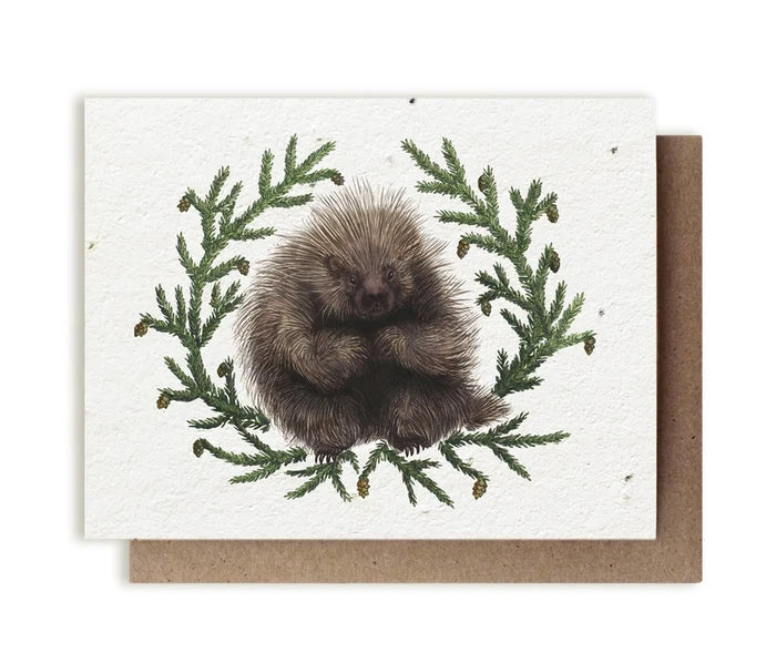 Porcupine