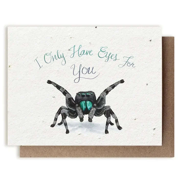 Jumping Spider