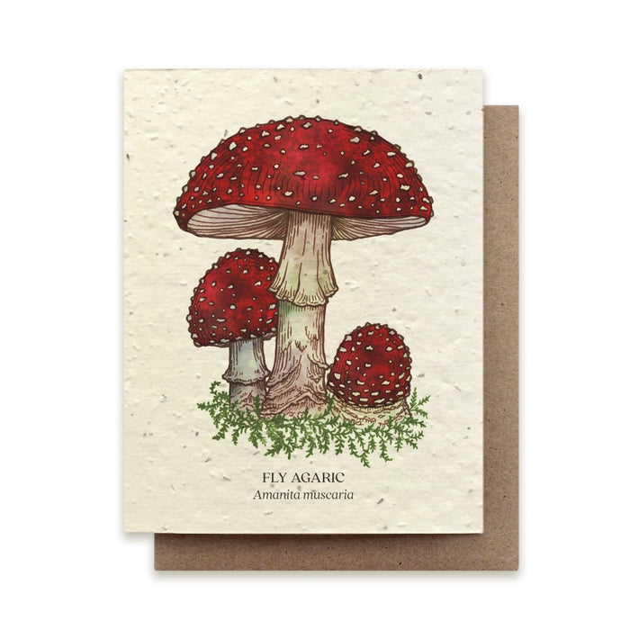 Plantable Wildflower Seed Cards
