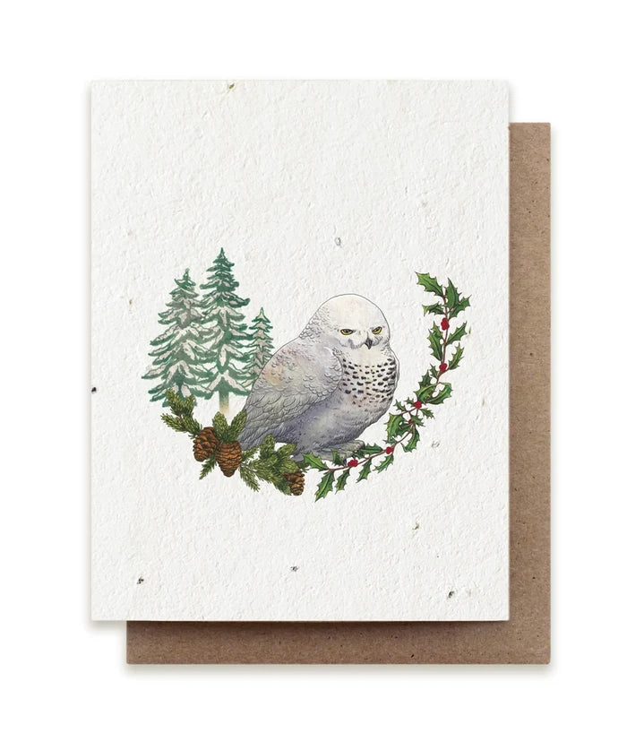 Winter Snowy Owl