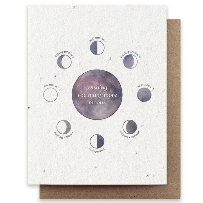 Plantable Wildflower Seed Cards