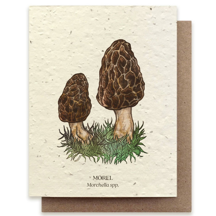 Plantable Wildflower Seed Cards