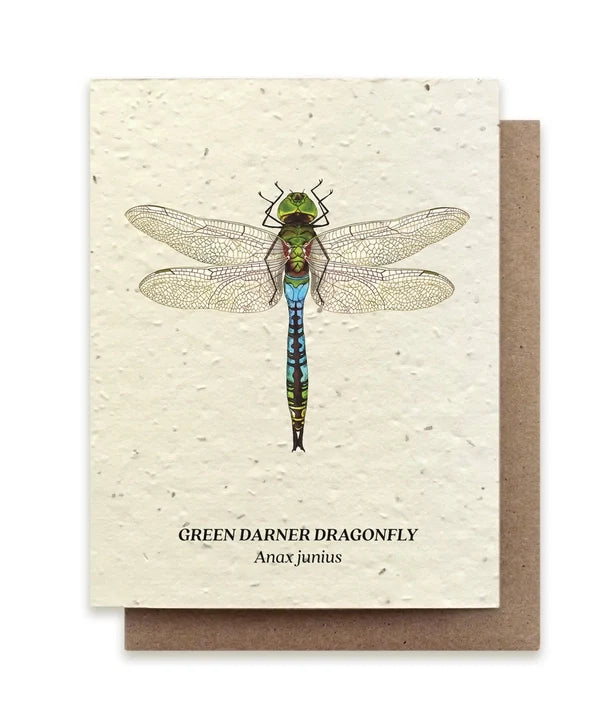 Plantable Wildflower Seed Cards