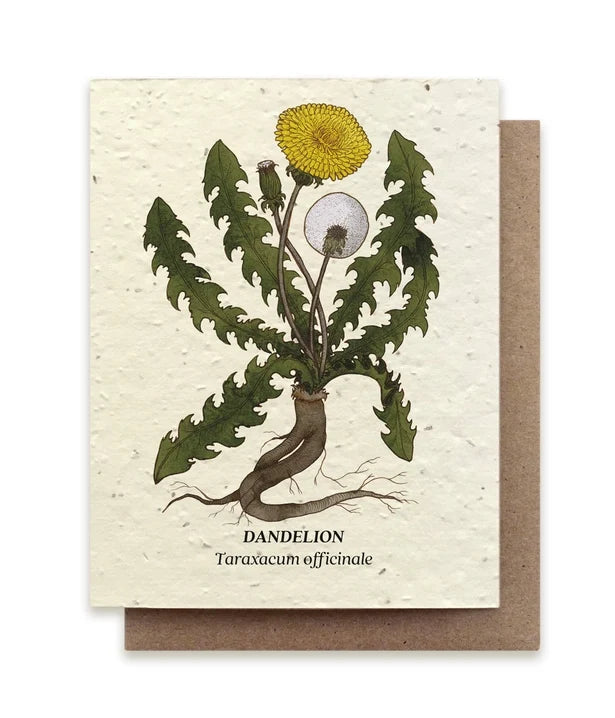 Plantable Wildflower Seed Cards