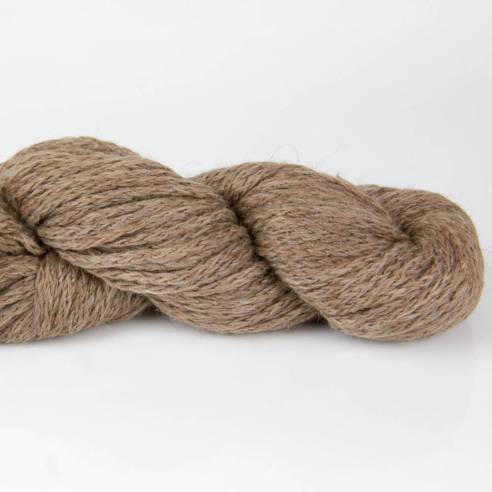 Plymouth Viento and Viento 100