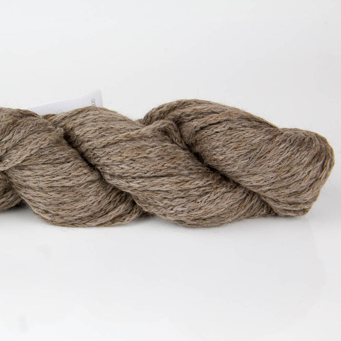 Plymouth Viento and Viento 100