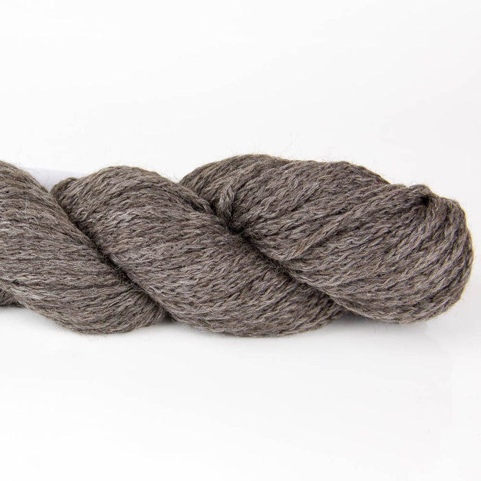 Plymouth Viento and Viento 100