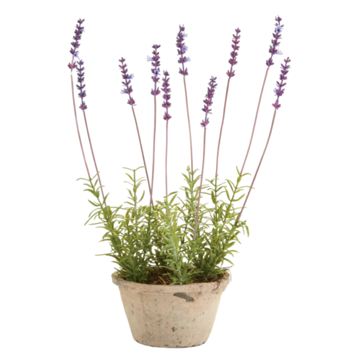napa home and garden faux potted lavender real life touch home design