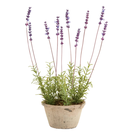 napa home and garden faux potted lavender real life touch home design