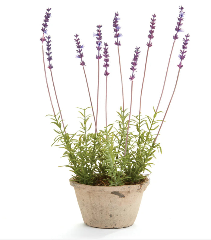 napa home and garden faux potted lavender real life touch home design
