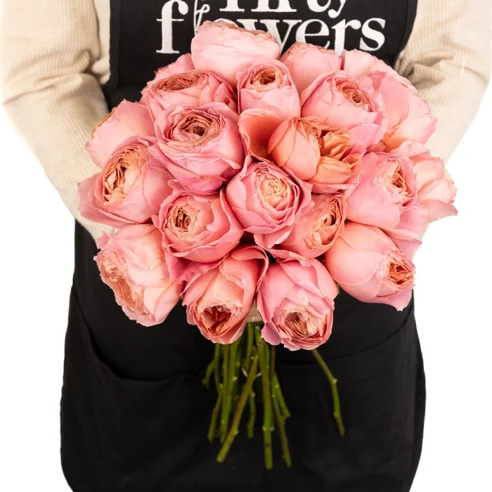 Cabbage Garden Rose Romantic Antique Pink Apron - Image