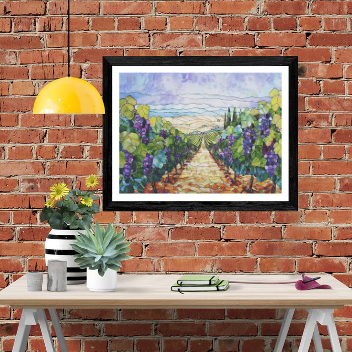 Rows Of Grapevines Under A Sunny Sky