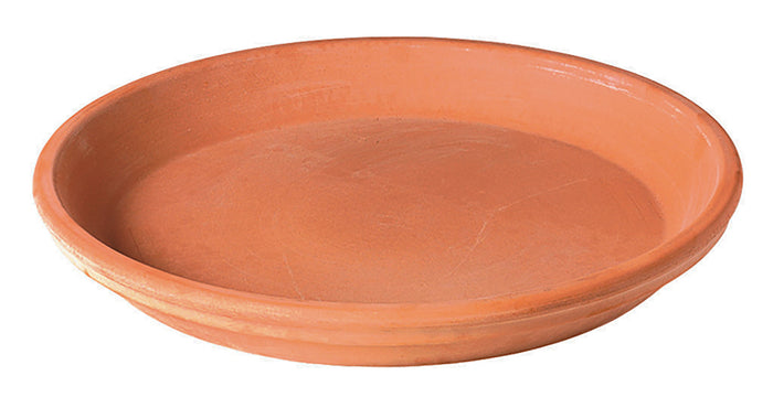 SAUCER CM 25 (9.8") BLUSH