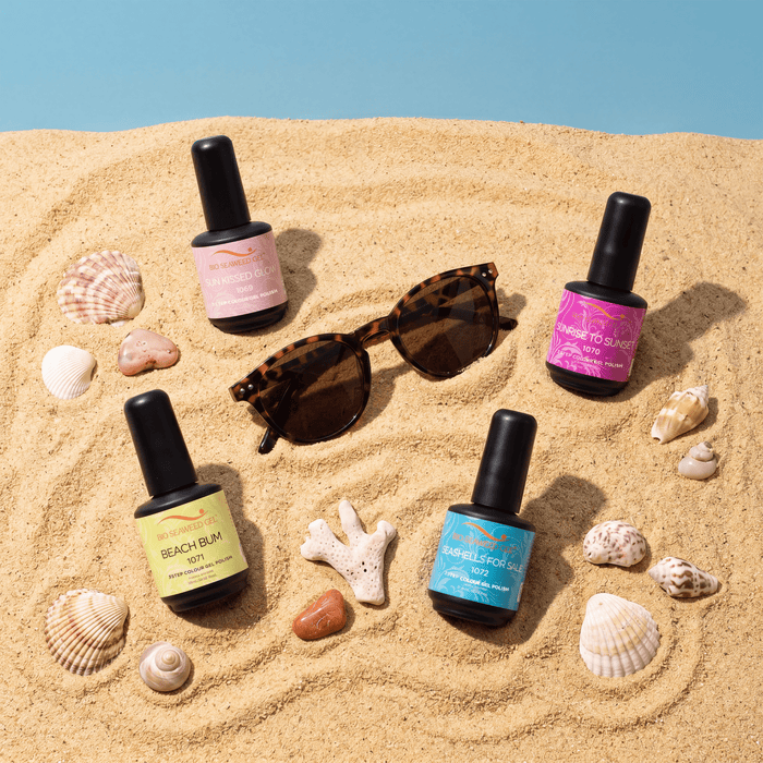 Seashells For Sale Collection - Bio Seaweed Gel USA