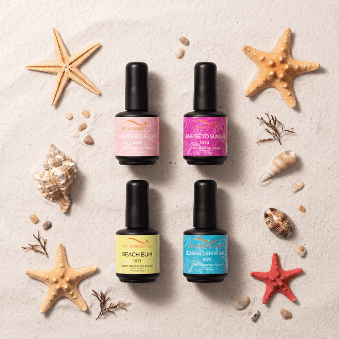 Seashells For Sale Collection - Bio Seaweed Gel USA