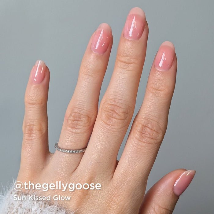 Seashells For Sale Collection - Bio Seaweed Gel USA
