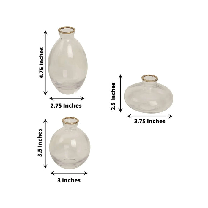 Set of three glass vases in different shapes and sizes on a white background
