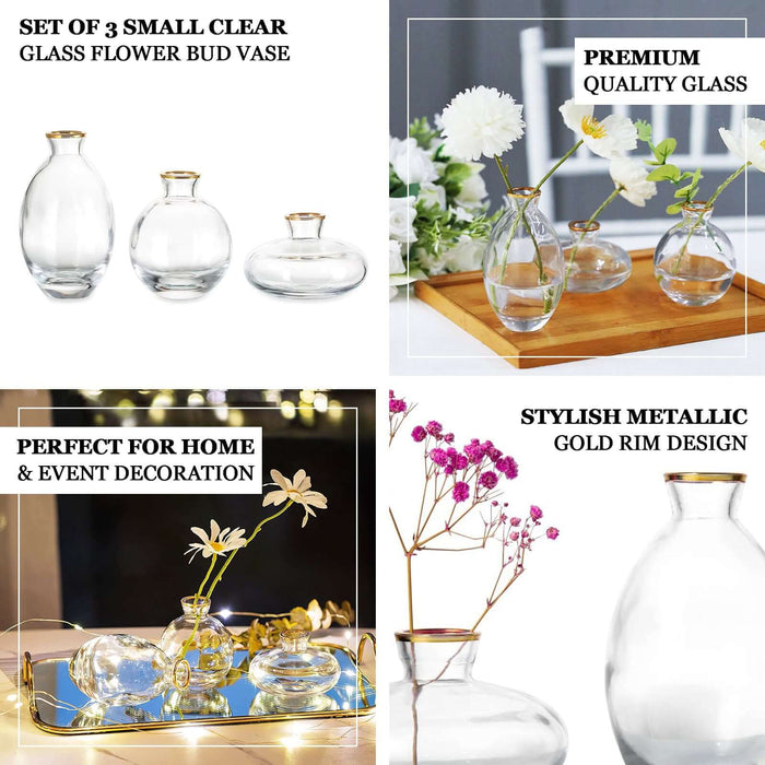 Set of 3 clear glass flower bud vases with stylish metallic gold rim design.