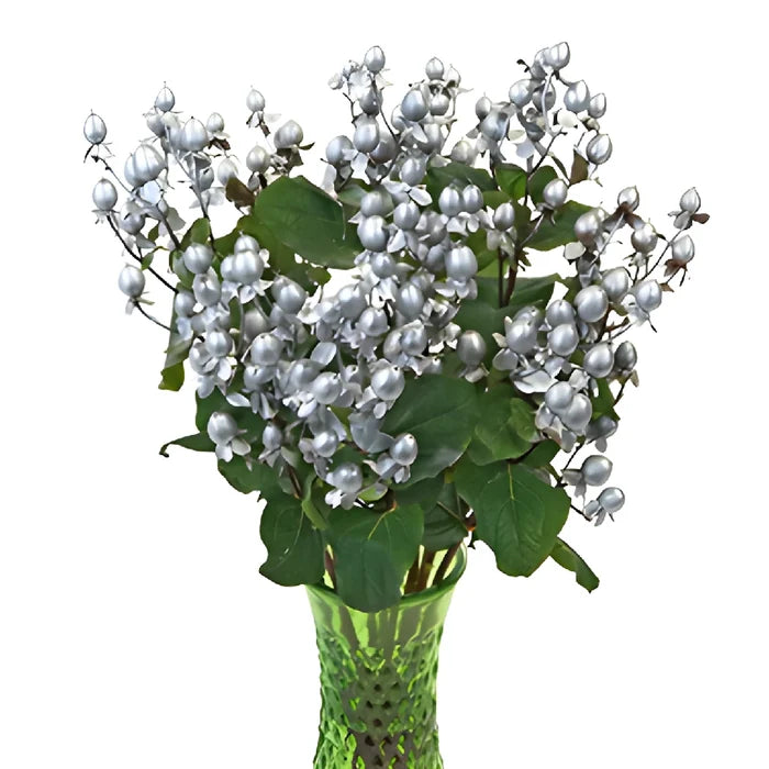 Silver Designer Tinted Hypericum Berries