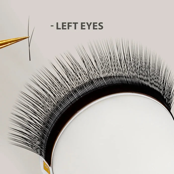 Slanting 2D Pre-Made Volume Lash Extensions 0.07mm — 8-15mm Mixed Tray| Swaniya Lashes
