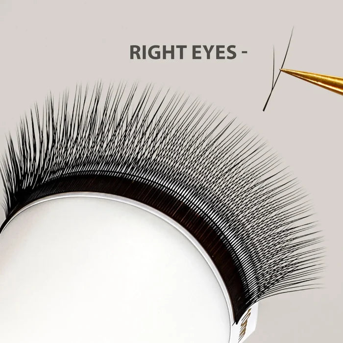 Slanting 2D Pre-Made Volume Lash Extensions 0.07mm — 8-15mm Mixed Tray| Swaniya Lashes