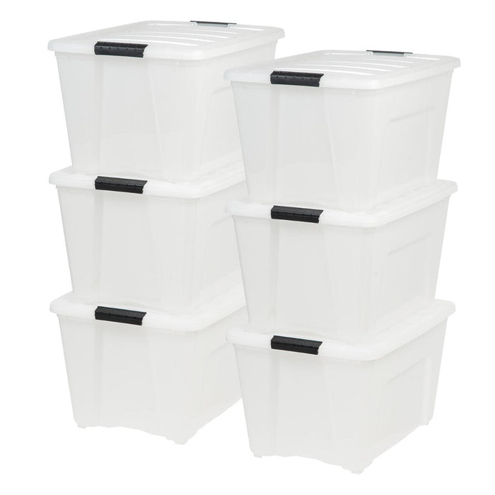 Pearl / 6 Pack