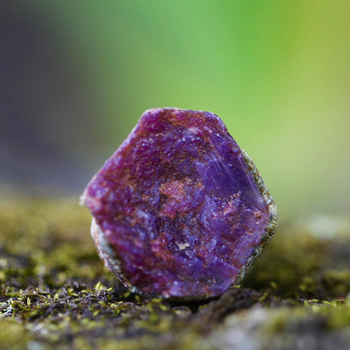 Star Ruby