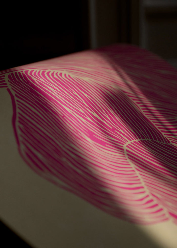 The Line - Pink by Rebecca Hein