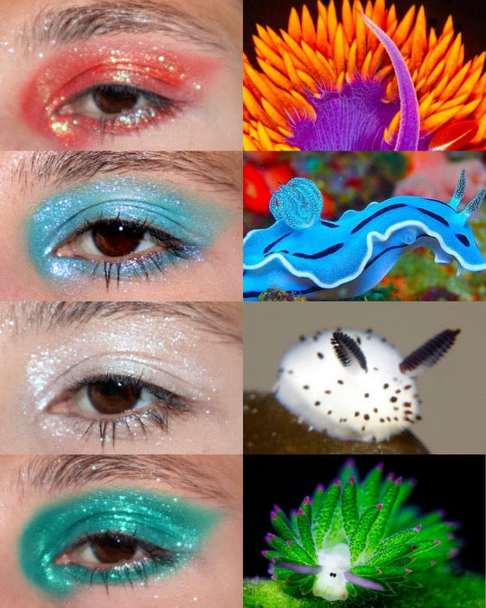 The Nudibranchs Eyeshadow Palette PREORDER RESTOCK