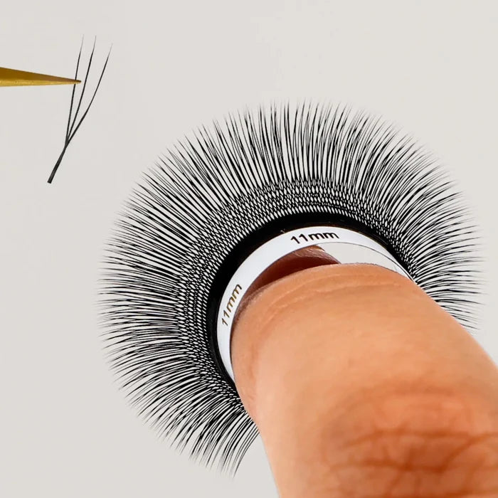 U Shape 3D Lashes| Swaniya Lashes