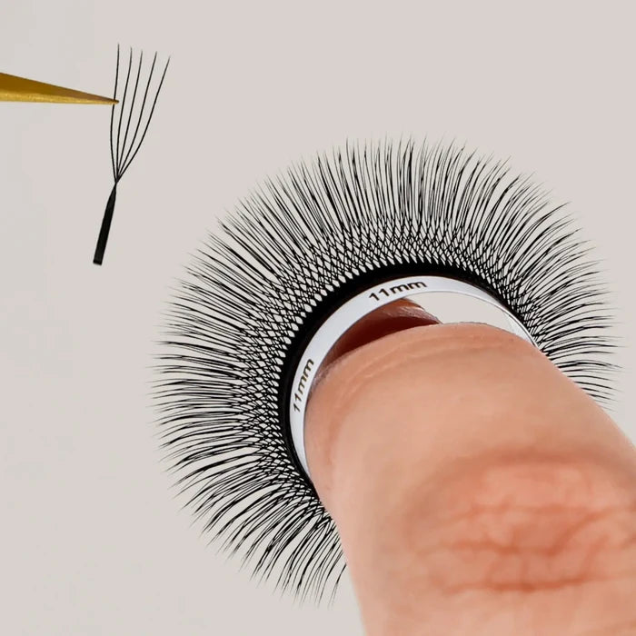 U Shape 5D Lashes| Swaniya Lashes