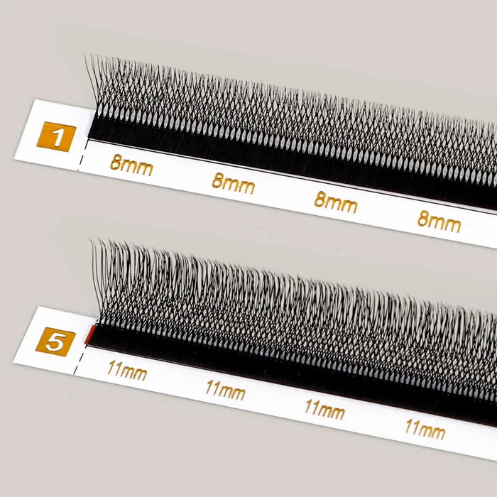 U Shape 5D Lashes| Swaniya Lashes