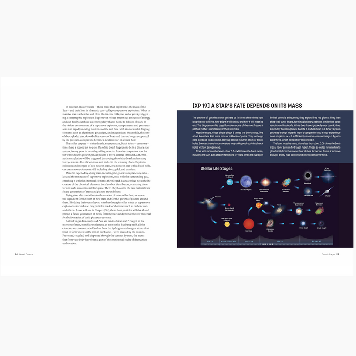Webb's Cosmos : Images and Discoveries from the James Webb Space Telescope Firefly