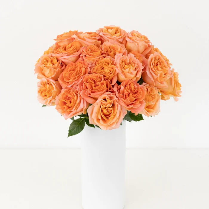 Apricot Blend Garden Rose Vase - Image