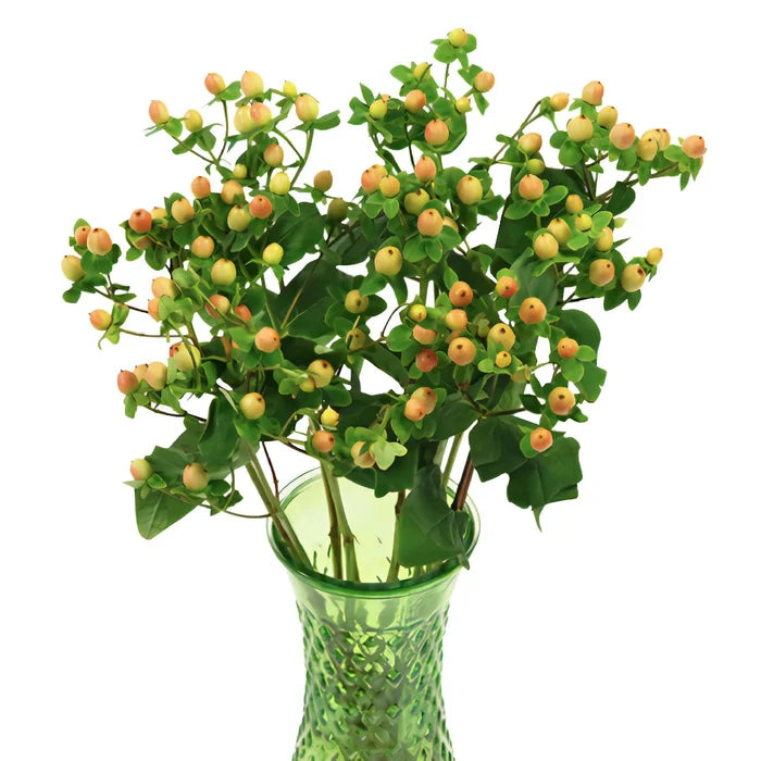 Yellow Peach Hypericum Berries